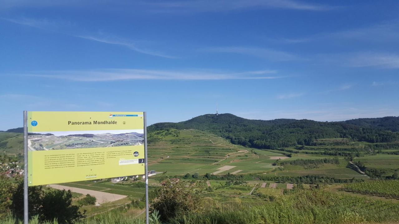 Gaestehaus Casa Luna - Paradiesische Ferienwohnungen Am Kaiserstuhl! Bischoffingen Exteriér fotografie