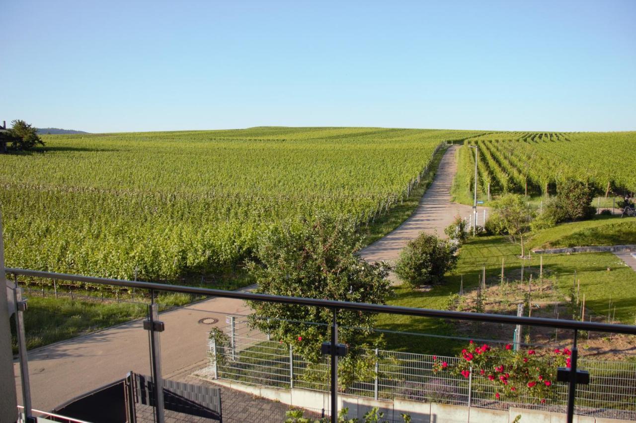 Gaestehaus Casa Luna - Paradiesische Ferienwohnungen Am Kaiserstuhl! Bischoffingen Exteriér fotografie
