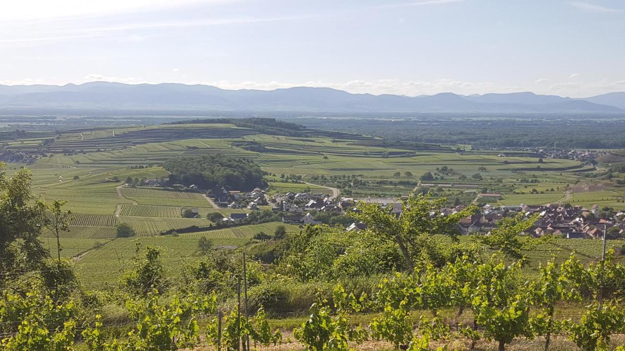 Gaestehaus Casa Luna - Paradiesische Ferienwohnungen Am Kaiserstuhl! Bischoffingen Exteriér fotografie